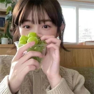 离狼之歌